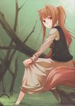  alternate_hairstyle animal_ears ayakura_juu barefoot brown_hair highres holo long_hair official_art ponytail red_eyes sitting soaking_feet solo spice_and_wolf tail water wolf_ears 