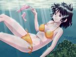  bikini black_eyes black_hair breasts copyright_request fish md5_mismatch medium_breasts nighthawk_(artist) side-tie_bikini smile solo swimsuit underwater 