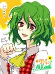  ascot character_name green_hair kazami_yuuka lowres plaid plaid_vest popoin red_eyes short_hair slit_throat_(gesture) smile solo touhou translated vest 
