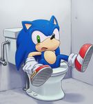  blush green_eyes hedgehog male mammal monakokko open_mouth sega sonic_(series) sonic_the_hedgehog stuck sweat toilet 