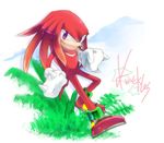  clouds echidna grass knuckles_the_echidna looking_at_viewer male outside pixiv purple_eyes sega solo sonic_(series) 