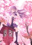  cherry_blossoms gintama glasses long_hair petals purple_hair sarutobi_ayame school_uniform serafuku solo zhuangmomo 