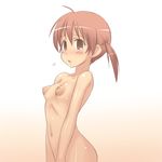  aaaa areolae blush breasts brown_eyes brown_hair highres large_areolae nipples nude original petite puffy_nipples short_hair small_breasts solo 