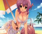  beach bikini cleavage erect_nipples kobuichi pink_hair swimsuit tenshinranman tokiwa_mahiro 