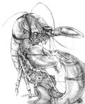  arthropod bdsm blotch bondage bound crustacean fish hat lobster marine monochrome plain_background trout white_background 