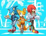2022 anthro canid canine chili_dog clothing crosswalk digital_drawing_(artwork) digital_media_(artwork) echidna electronics endjfcar eulipotyphlan food footwear fox gloves group handwear hedgehog hot_dog hot_sauce jacket knuckles_the_echidna male mammal miles_prower monotreme phone pose sega shoes sonic_the_hedgehog sonic_the_hedgehog_(series) sweater tail topwear trio wings