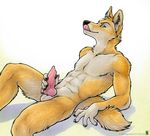  abs animal_genitalia anthro balls black_nose canine canine_penis dingo erection fur green_eyes knot licking licking_lips looking_at_viewer male mammal nude orange_fur penis plain_background shinigamigirl sitting solo tongue tongue_out white_background white_fur 