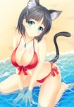  animal_ears arm_support bad_id bad_pixiv_id bikini black_hair bracelet breasts cat_ears cat_tail cleavage front-tie_top green_eyes highres jewelry kirigaya_suguha large_breasts looking_at_viewer partially_submerged pasdar pendant red_bikini shiny shiny_skin short_hair sitting smile solo swimsuit sword_art_online tail wariza water 