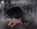  bestiality black_fur canine dripping drooling erection fangs feral forest from_behind gay human interspecies jinxess male open_mouth penetration penis precum saliva sex tongue tree werewolf wolf wood 