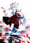  animal_ears autumn_leaves awa_toka bare_shoulders detached_sleeves hat highres holding inubashiri_momiji red_eyes ripples shield short_hair skirt solo tail tokin_hat touhou water white_hair wolf_ears wolf_tail 