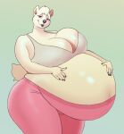 5_fingers anthro bear belly big_belly big_breasts bra breasts clothed clothing female fingers fur ginormous_belly hands_on_own_belly hi_res huge_belly huge_breasts hyper hyper_belly leggings legwear looking_at_viewer mammal midriff odisia polar_bear pregnant pregnant_anthro pregnant_female purple_eyes solo thick_thighs tight_clothing underwear ursine white_body white_fur