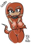  anthro bioware breasts canastus color echidna female nipples nude sega shade_the_echidna sonic_(series) 