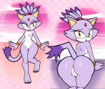 5_toes absurd_res anthro anus beach blackmore blaze_the_cat blush blush_lines bodily_fluids breasts butt domestic_cat feet felid feline felis female genitals hi_res jewelry looking_at_viewer looking_back mammal nipples nude nude_anthro nude_female outside purple_body purple_skin sega small_breasts solo sonic_the_hedgehog_(series) sweat sweatdrop tail toes vulva