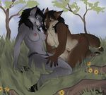  breasts brown_fur canine clothed clothing duo eye_contact female fur grass grey_fur hair half-dressed hindpaw kneeling lesbian mammal nipples outside paws skimpy thejinxess topless tree video_games warcraft were werewolf wood worgen 