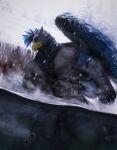 anthro avian balls beak black_hair blue_hair blue_markings blue_wings cheek_tuft dust_yang facial_tuft feathered_wings feathers front_view genitals grey_balls grey_body grey_penis hair half-erect hi_res male male_anthro markings mouth_closed multicolored_hair muscular muscular_anthro muscular_male neck_tuft nipples nude outside partially_submerged penis solo tuft two_tone_hair wings yellow_beak yellow_eyes