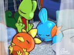  absurdres closed_eyes closed_mouth curtains drooling highres lying mouth_drool mudkip oekakisulungo on_back on_stomach open_mouth pokemon pokemon_(creature) rug shadow signature sitting sleeping sleeping_together sleeping_upright star_(symbol) starter_pokemon_trio tagme torchic treecko twitter_username 