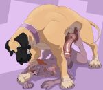 absurd_res anatomically_correct anthro anthro_on_feral backwards_hat bestiality bodily_fluids canid canine canis clothing collar domestic_dog drooling duo feet feral foot_fetish foot_play footjob foreskin fox genital_fluids genitals great_dane hat headgear headwear hi_res hybrid kangaroo knot macropod male male/male mammal marsupial mastiff molosser nude penis pinned precum saliva sex size_difference snarling soles toby_foxxo weskers