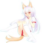  animal_ears bad_id bad_pixiv_id blush buruma elin_(tera) extra_ears feet fox_ears fox_tail gym_uniform kneehighs long_hair no_shoes open_mouth red_eyes silver_hair sitting socks solo tail tears tera_online white_legwear yuuyu 