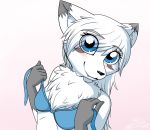  2018 animal_humanoid anthro blue_eyes blush breasts canine clothed clothing digital_media_(artwork) female fox fur hair hi_res humanoid looking_at_viewer mammal milesnukem simple_background smile solo undressing white_fur white_hair 