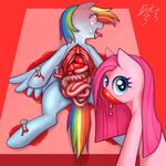  blood blue_eyes death disembowelment duo equine evisceration female feral friendship_is_magic gore hair horse internal_organs long_hair looking_at_viewer mammal multi-colored_hair my_little_pony open_mouth organs pegasus pink_hair pinkamena_(mlp) pinkie_pie_(mlp) plain_background pmo0908 pony psycho_killer rainbow_dash_(mlp) rainbow_hair red_background wings 