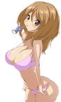  bra breasts brown_eyes brown_hair extra juice_box k-on! large_breasts long_hair lowres panties tachibana_himeko underwear underwear_only yoru_ha 