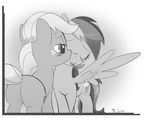  blush butt cutie_mark duo equine female feral friendship_is_magic greyscale horse kissing lesbian mammal monochrome my_little_pony pegasus pony rainbow_dash_(mlp) tom_smith wings 