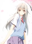  bad_id bad_pixiv_id cherry_blossoms long_hair mac-kine necktie petals red_eyes ruler sakura-sou_no_pet_na_kanojo school_uniform shiina_mashiro silver_hair solo sweater_vest 