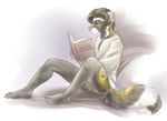  anthro avoid_posting balls book bottomless clothed clothing conditional_dnp ferret flaccid half-dressed kimber_di_furetti male mammal marbled_polecat moodyferret mustelid penis polecat reading solo uncut weasel 