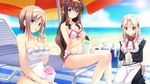  anata_no_koto_o_suki_to_iwasete beach bikini blue_eyes brown_hair game_cg long_hair swimsuit 