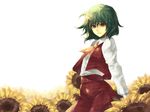  ascot flower fori green_hair kazami_yuuka light_smile plaid plaid_skirt plaid_vest red_eyes short_hair sitting skirt skirt_set solo sunflower touhou vest white_background 