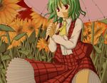  ascot bad_id bad_pixiv_id field flower flower_field green_hair hasumi_takashi kazami_yuuka nature plaid plaid_skirt plaid_vest red_eyes ribbon short_hair skirt skirt_set solo sunflower touhou umbrella vest 