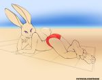  4_fingers 4_toes anthro butt clothing feet lagomorph lying male mammal on_front pink_eyes presenting presenting_hindquarters rabbit shiuk solo speedo swimsuit toes 