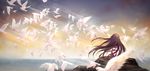  akemi_homura azmodan bird black_hair flock from_behind long_hair mahou_shoujo_madoka_magica ribbon solo standing sunlight 