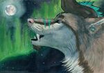 ambiguous_feral ambiguous_gender aurora_(phenomenon) blue_eyes blue_hair brown_body brown_fur canid canine cheek_tuft chin_tuft ear_piercing facial_piercing facial_tuft fangs feral fur gauged_ear hair heatherwolf lip_piercing lip_stud mammal moon multiple_piercings neck_tuft night open_mouth piercing pink_nose side_view solo star teeth text tuft url white_body white_fur