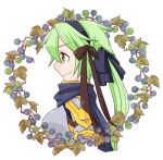  1girl armor black_hairband black_scarf blueberry boobplate bow brown_bow brown_eyes closed_mouth commentary_request food fruit green_hair hair_bow hairband long_hair looking_afar oekakipikki pauldrons profile ragnarok_online rune_knight_(ragnarok_online) scarf shoulder_armor smile solo upper_body white_background wreath 
