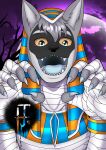 2022 absurd_res anthro blue_claws blue_eyes blue_tongue canid canine canis claws clothing cole_canine domestic_dog egyptian egyptian_clothing egyptian_headdress fur grey_body grey_fur halloween hi_res holidays husky jasoned95 male mammal mummy_wrappings nordic_sled_dog sharp_teeth solo spitz teeth tongue yellow_sclera