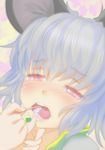  animal_ears blush brushing_teeth grey_hair hand_on_another's_chin ishikkoro mouse_ears nazrin open_mouth out_of_frame red_eyes sexually_suggestive short_hair solo_focus sweat toothbrush touhou 