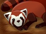  ambiguous_gender avatar:_legend_of_korra brown_eyes feral fire_ferret looking_at_viewer mammal mustelid pabu red_panda ringed_tail solo theothefox 
