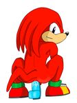  anal_masturbation anal_penetration anthro cum cum_in_ass cum_inside dildo dildo_sitting echidna insertion knuckles_the_echidna looking_at_viewer looking_back male masturbation nude penetration plain_background purple_eyes sega sex sex_toy smile solo sonic_(series) white_background 