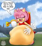 2023 abdominal_bulge amy_rose anthro bracelet clothing crown cute_fangs dialogue dress duo english_text eulipotyphlan eyes_closed fangs female female_pred female_prey field fur gloves gold_(metal) gold_bracelet gold_jewelry handwear headgear hedgehog hi_res human human_prey jewelry mammal mario_bros nintendo open_mouth open_smile outside patting_belly pink_body pink_fur princess_peach red_clothing red_dress sega smile smug sonic_the_hedgehog_(series) speech_bubble standing teeth text unwilling_prey vore watermark white_clothing white_gloves white_handwear xcosmicfetishx