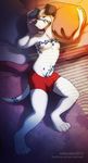  bulge canine clothing dalmatian dog invalid_color male mammal pillow redrusker sea_salt seasalt solo tight_clothing underwear 