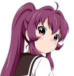  long_hair momo_(esem) nanamori_school_uniform ponytail purple_eyes purple_hair school_uniform serafuku solo sugiura_ayano yuru_yuri 