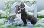absurd_res alister_ik anthro black_body blue_eyes brown_body clothing domestic_cat dress duo eye_contact felid feline felis female green_eyes hi_res isabelle_(solidsnuck) looking_at_another male male/female mammal paws procyonid raccoon raised_leg snow snowing snuck_(solidsnuck) standing suit wedding wedding_dress wedding_veil