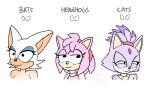 amy_rose anthro bat black_eyes blaze_the_cat blue_eyeshadow comparing domestic_cat dorefatum english_text eulipotyphlan eyelashes eyeshadow felid feline felis female fur group hair half-closed_eyes happy hedgehog hi_res makeup mammal meme narrowed_eyes pink_body pink_fur pink_hair purple_body purple_fur rouge_the_bat sega short_hair simple_background smile sonic_the_hedgehog_(series) text trio white_background white_hair
