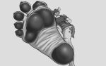 5_toes barefoot claws feet foot_fetish foot_focus hyena looking_at_viewer looking_down macro male mammal monochrome paws solo stepping t1nyroach toe_claws toes wrinkled_feet wrinkles