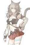  1girl :3 animal_ears breasts cat_ears cat_girl cat_tail commentary cosplay detached_sleeves facial_mark final_fantasy final_fantasy_xiv grey_hair highres honkai:_star_rail honkai_(series) ikasuyosei looking_at_viewer medium_breasts midriff miqo'te red_skirt simple_background skirt solo stelle_(honkai:_star_rail) strapless tail thigh_strap trailblazer_(honkai:_star_rail) tube_top whisker_markings white_background white_sleeves white_tube_top yellow_eyes 