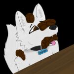 1:1 absurd_res anthro arctic_fox bristol_type_3 brown_eyes canid canine collar collar_tag draderos draderos_(character) eating_feces eyebrows fangs feces feces_in_mouth fox fur furniture hi_res male mammal name_tag open_mouth shaded simple_background small_fangs snout solo table teeth text tongue true_fox white_body white_fur