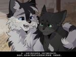  :3 animal animal_focus barley_(warrior_cats) black_cat cat chinese_commentary chinese_text commentary_request fake_screenshot fangs green_eyes highres no_humans open_mouth outdoors ravenpaw seroll translation_request upper_body warrior_cats whiskers white_cat 