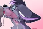  animal_genitalia animal_penis anthro bodily_fluids canid canine canine_genitalia canine_penis cum cum_in_mouth cum_inside duo eyewear fox fur genital_fluids genitals glasses grey_body grey_fur hi_res knot knotted_penis male male/male mammal oral oral_penetration penetration penis pink_penis purple_body purple_fur vikas wearing_glasses 