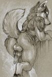  2018 animal_genitalia animal_penis anthro backsack balls butt cadmiumtea canine canine_penis digitigrade dog erection fur greyscale husky knot looking_at_viewer looking_back male mammal monochrome penis raised_tail rear_view traditional_media_(artwork) 